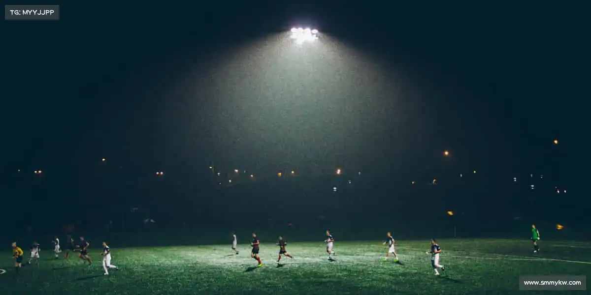 🏉热血橄榄球，碰撞出火花！